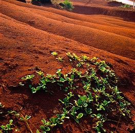《魔界战记7》发售两周 日本国内销量突破5万份